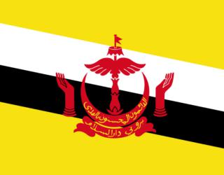 Brunei Darussalam Masuk Daftar Hitam Amerika Serikat, Ada Apa?