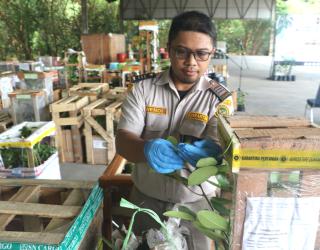 Barantin Periksa 4.000 Lebih Tanaman Herbal Untuk Taman Sains Teknologi Herbal dan Holtikultura