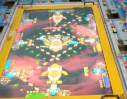 Viral! Judi Tembak Ikan Dekat Masjid dan RS, Warga Minta Polisi Bertindak