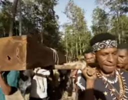 Film Dokumenter “Pesta Babi” Bongkar Sisi Gelap Proyek Food Estate di Papua Selatan