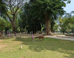 Suaraga Perkuat Citra Solo sebagai Kota Wellness dan Kreatif