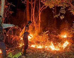 Rp760 Miliar untuk Penanganan Karhutla, Pemda Diminta Segera Bergerak