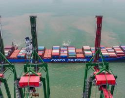 Lima Tahun Pascamerger, Terminal Teluk Lamong Perkuat Integrasi dan Transformasi Layanan 